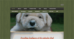 Desktop Screenshot of belovedlabs.com